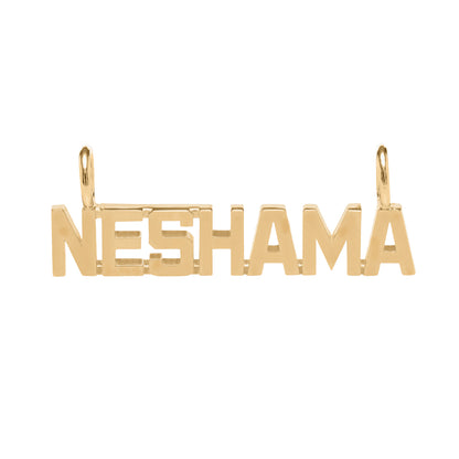 The Say Anything Neshama Pendant